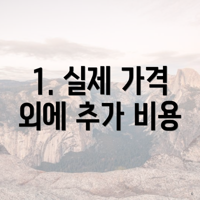 1. 실제 가격 외에 추가 비용