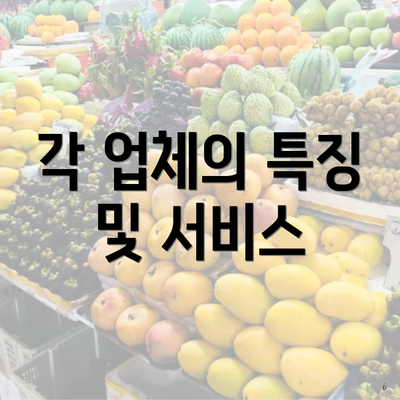 각 업체의 특징 및 서비스