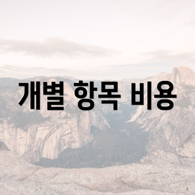 개별 항목 비용