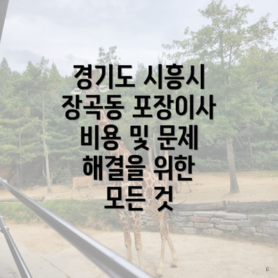 경기도 시흥시 장곡동 포장이사 비용 및 문제 해결을 위한 모든 것