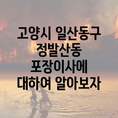 고양시 일산동구 정발산동 포장이사에 대하여 알아보자