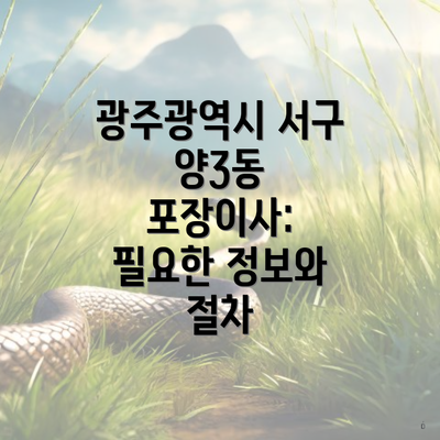 광주광역시 서구 양3동 포장이사: 필요한 정보와 절차