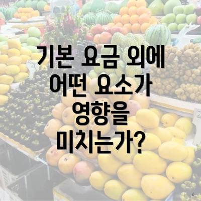 기본 요금 외에 어떤 요소가 영향을 미치는가?