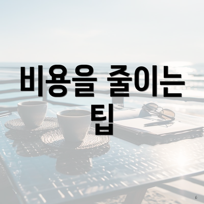 비용을 줄이는 팁