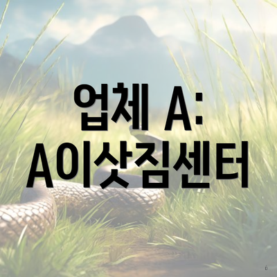 업체 A: A이삿짐센터