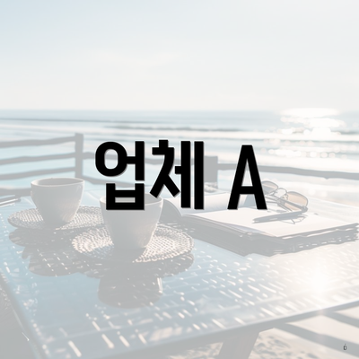 업체 A