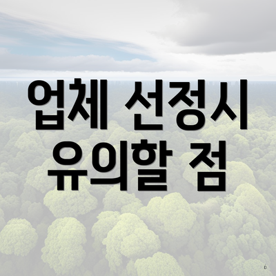 업체 선정시 유의할 점