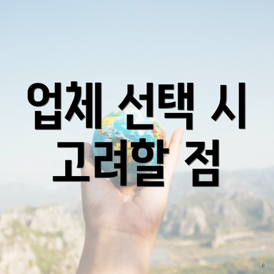 업체 선택 시 고려할 점