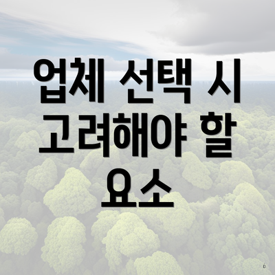 업체 선택 시 고려해야 할 요소