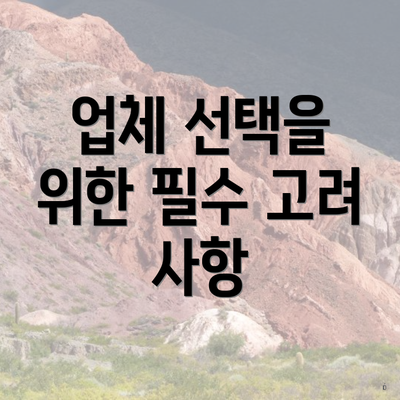 업체 선택을 위한 필수 고려 사항