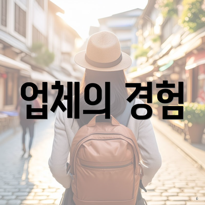 업체의 경험