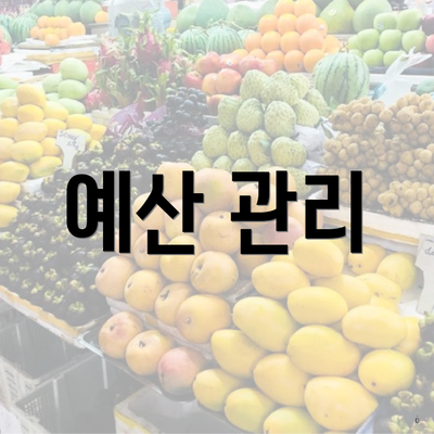 예산 관리