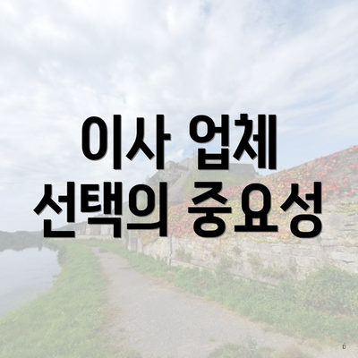 이사 업체 선택의 중요성