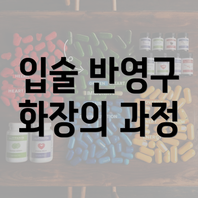 입술 반영구 화장의 과정