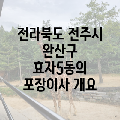 전라북도 전주시 완산구 효자5동의 포장이사 개요