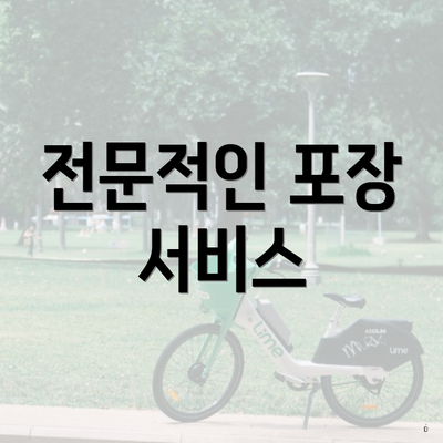 전문적인 포장 서비스