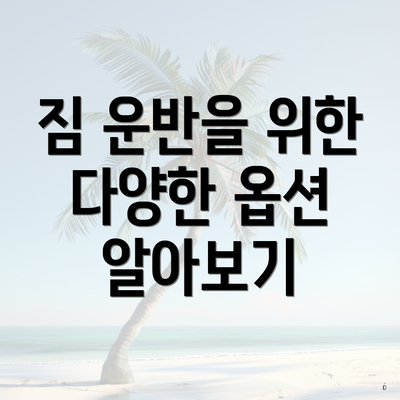 짐 운반을 위한 다양한 옵션 알아보기