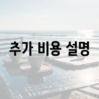 추가 비용 설명