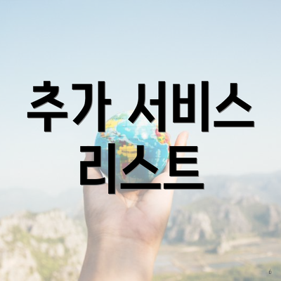 추가 서비스 리스트