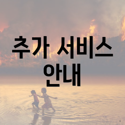 추가 서비스 안내