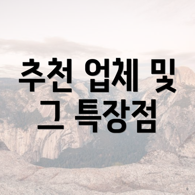 추천 업체 및 그 특장점