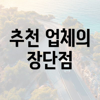 추천 업체의 장단점