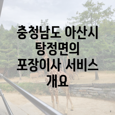 충청남도 아산시 탕정면의 포장이사 서비스 개요