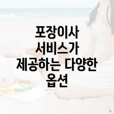 포장이사 서비스가 제공하는 다양한 옵션