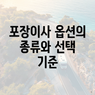 포장이사 옵션의 종류와 선택 기준