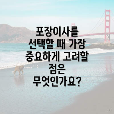 포장이사를 선택할 때 가장 중요하게 고려할 점은 무엇인가요?