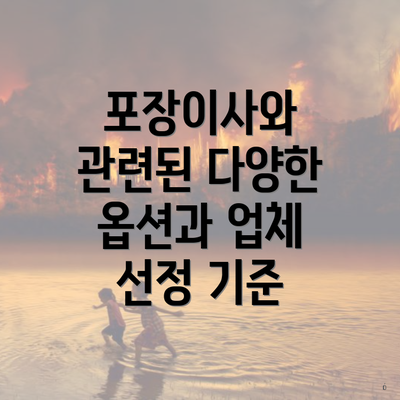 포장이사와 관련된 다양한 옵션과 업체 선정 기준