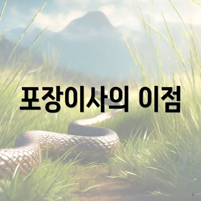 포장이사의 이점