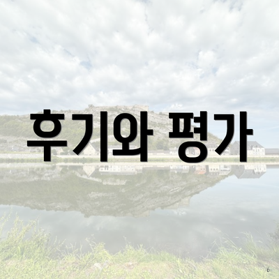 후기와 평가