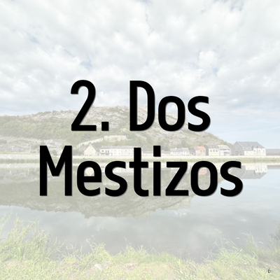 2. Dos Mestizos