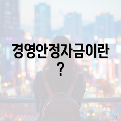경영안정자금이란?