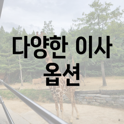 다양한 이사 옵션