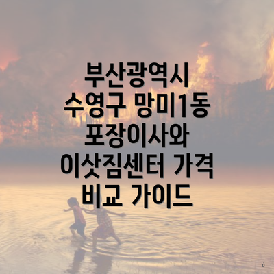 부산광역시 수영구 망미1동 포장이사와 이삿짐센터 가격 비교 가이드