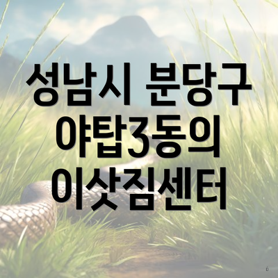 성남시 분당구 야탑3동의 이삿짐센터