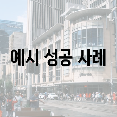 예시 성공 사례