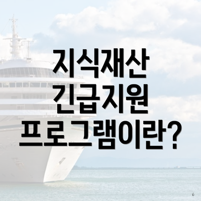 지식재산 긴급지원 프로그램이란?