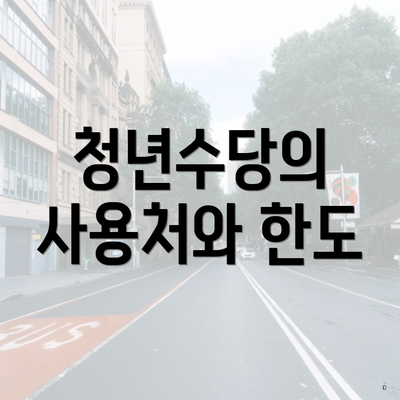 청년수당의 사용처와 한도