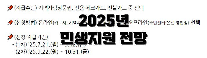 2025년 민생지원 전망