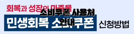 소비쿠폰 사용처 안내