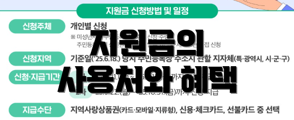 지원금의 사용처와 혜택