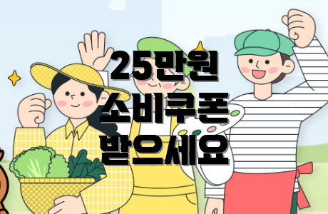25만원 소비쿠폰 받으세요