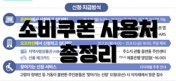 소비쿠폰 사용처 총정리
