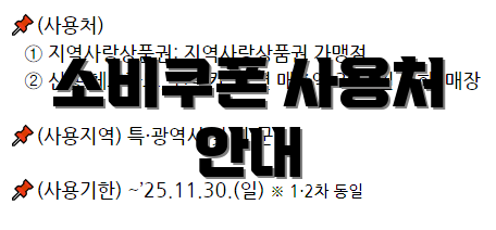 소비쿠폰 사용처 안내