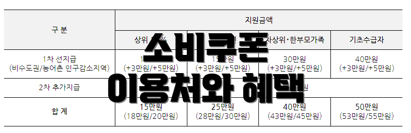 소비쿠폰 이용처와 혜택