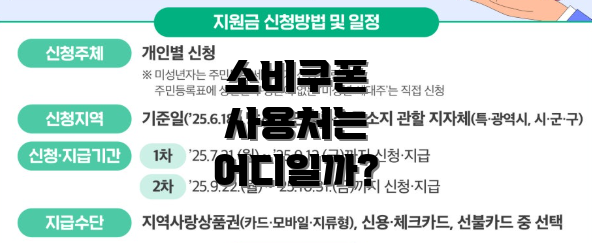 소비쿠폰 사용처는 어디일까?