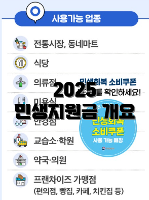 2025 민생지원금 개요